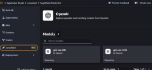 Open AI weight models